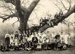 genealogy,family tree,ancestry,family history,lds